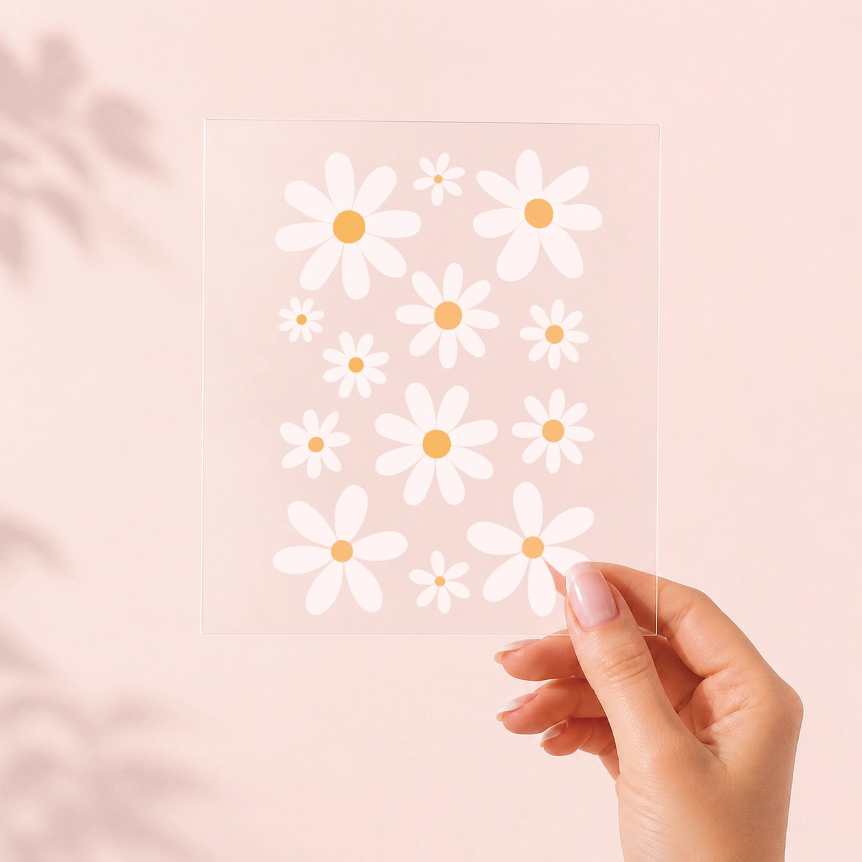 Daisy Lover – Motivbogen